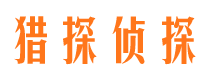 铁锋侦探公司